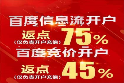 百度平台推广:成功案例解析与效果分析